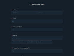CV Application Form Template