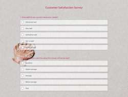 Vorlage für eine Umfrage zur Kundenzufriedenheit