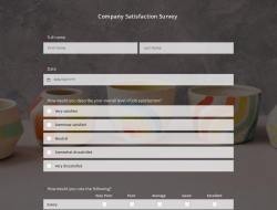 Company Satisfaction Survey Template