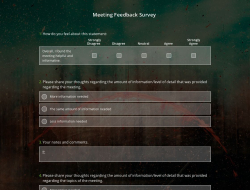 Meeting Feedback Survey Template