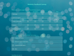 Website Feedback Survey Template