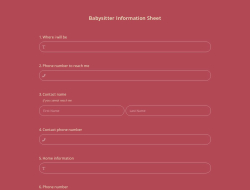 Babysitter Information Sheet Template