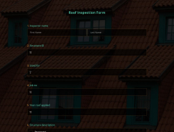 Formular zur Dachinspektion