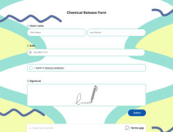 Chemical Release Form