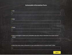 Automobile Information Form