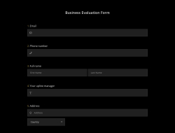 Business Evaluation Form