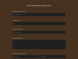 Construction Daily Report Form