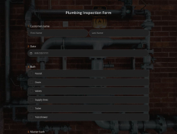 Plumbing Inspection Form