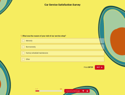 Car Service Satisfaction Survey