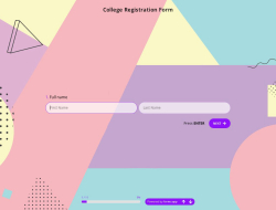 College Registration Form