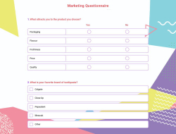 Marketing Questionnaire