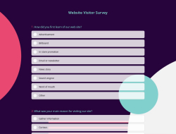 Website Visitor Survey