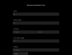 Business Evaluation Form