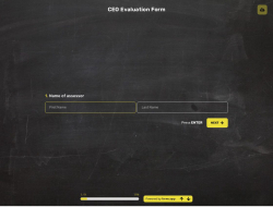 CEO Evaluation Form