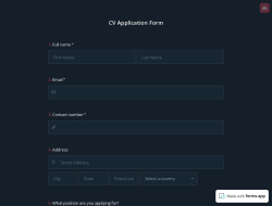 CV Application Form