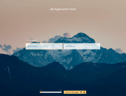 Job Application Form Template