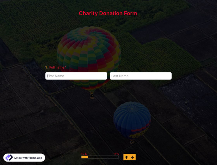 Charity Donation Form Template