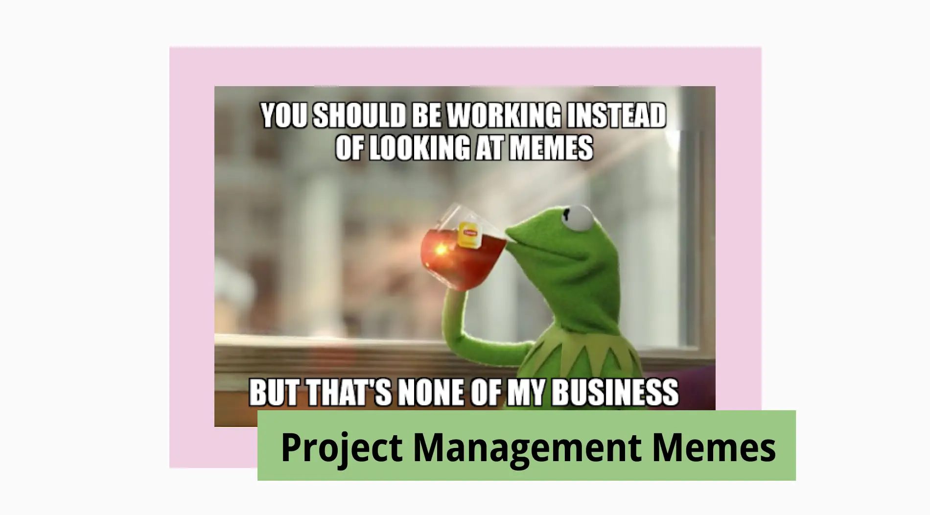 75+ Fun project management memes that are worth sharing