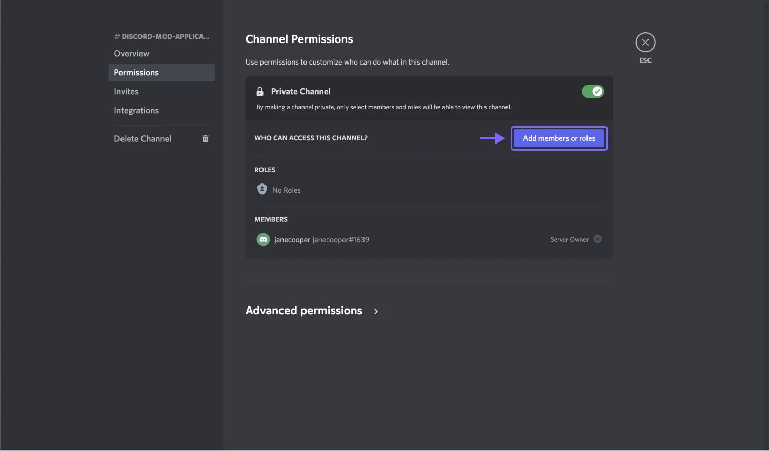 An image showing the “Add members or roles” button, which you need to click by accessing the “Permissions” tab first