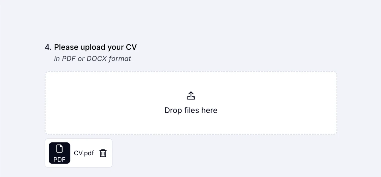 An image showing an example of the “File Upload” field usage when collecting the CV documents