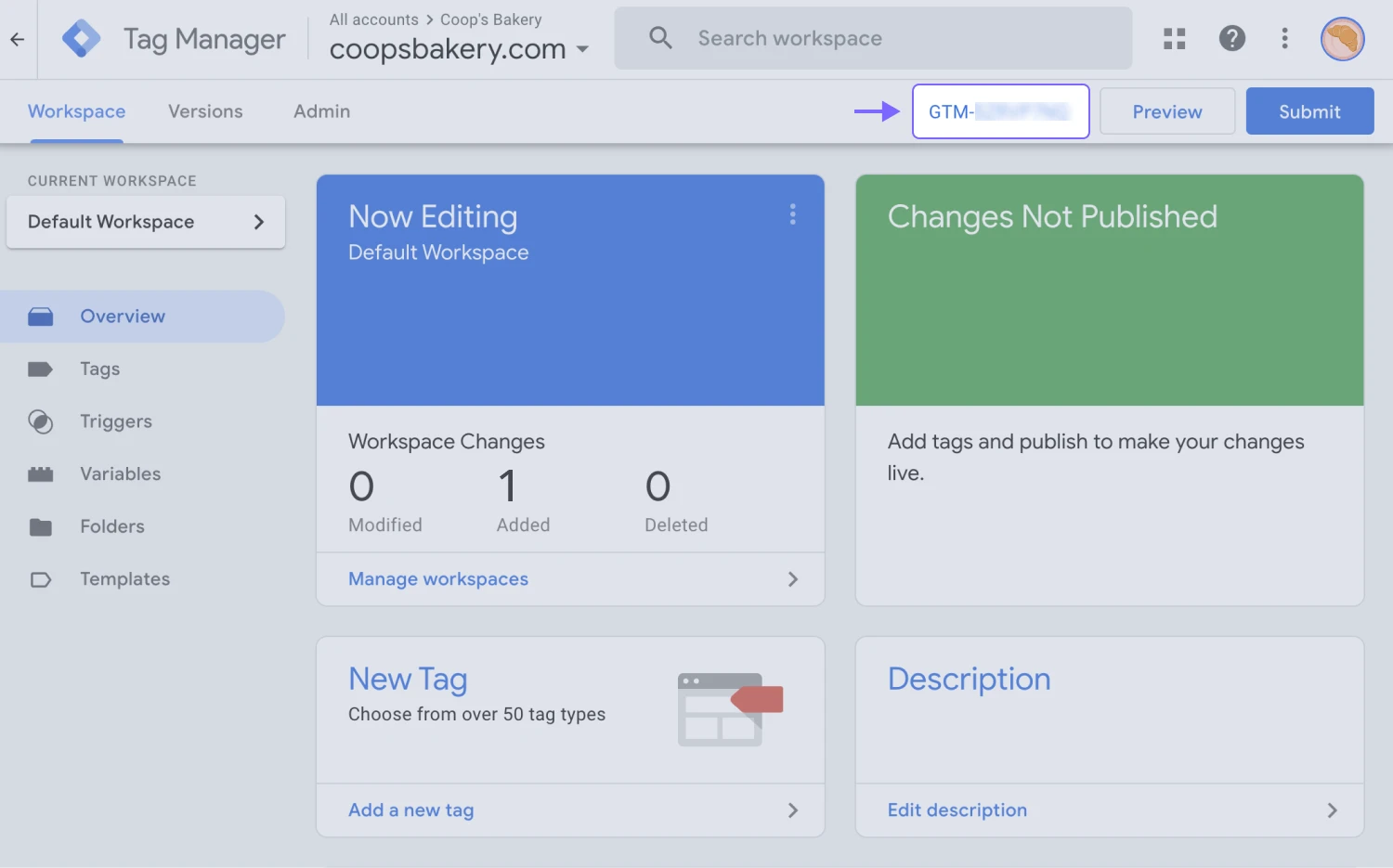 An image showing the “Google Tag Manager” platform from where you can copy the “Google Tag Manager Container ID”