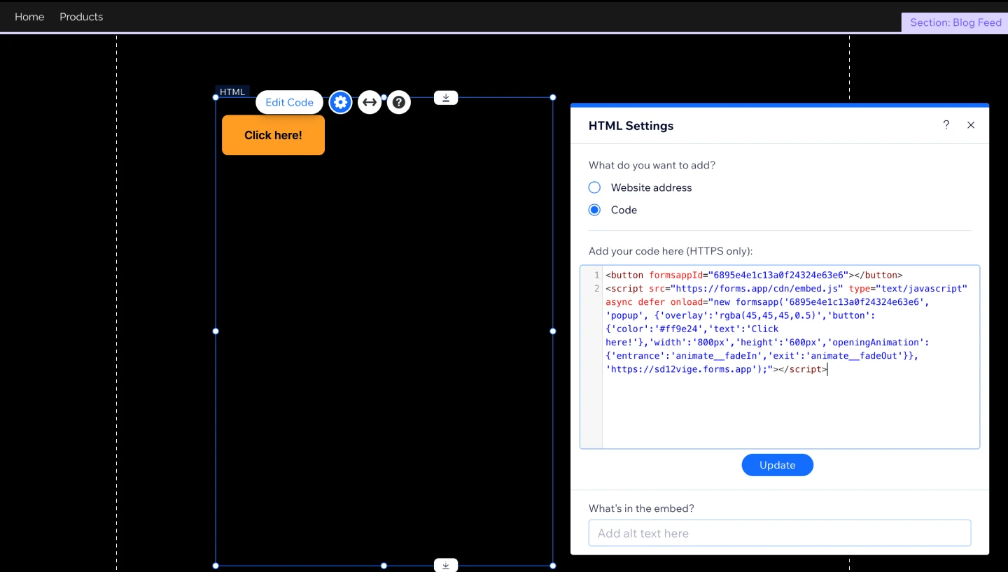 An image showing an example of how you can add the code to the website editing area for future embedding