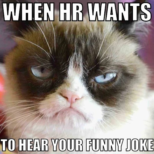 50 Funny HR Memes of All Time