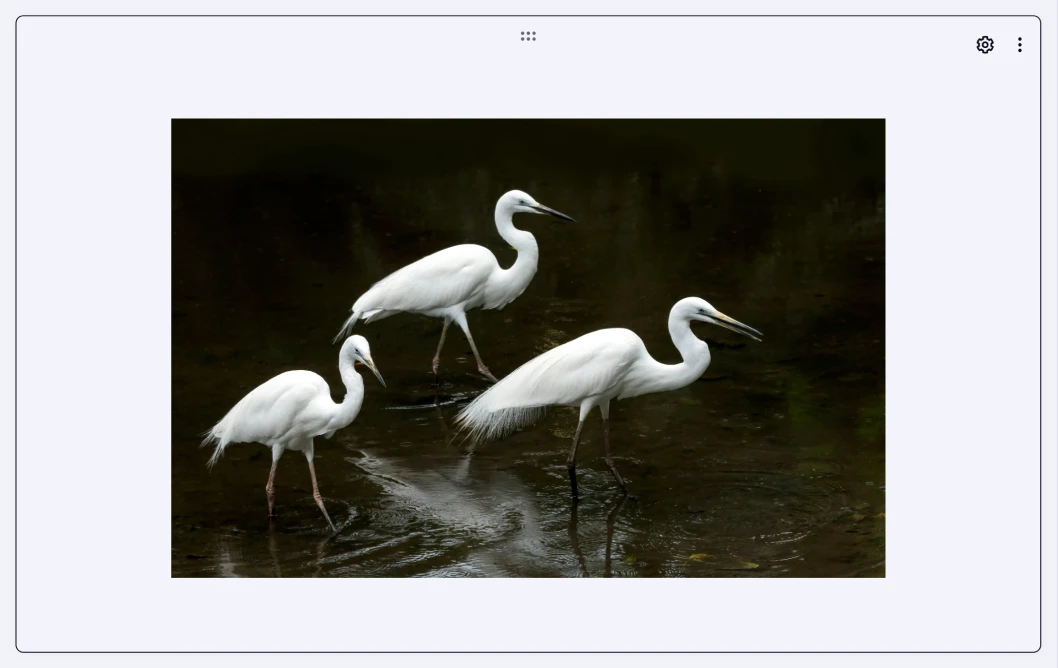 An image showing an example of the “Image Content” field used in the form