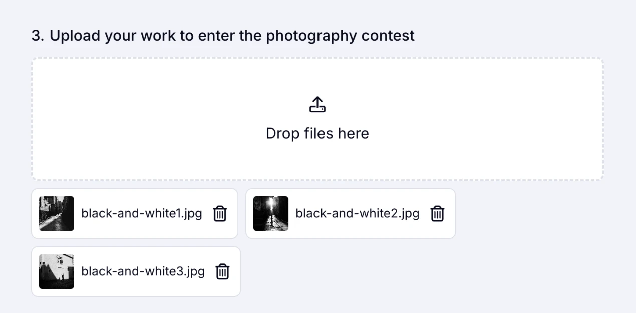 An image showing an example of the “Image Upload field” usage with the uploaded files by a respondent