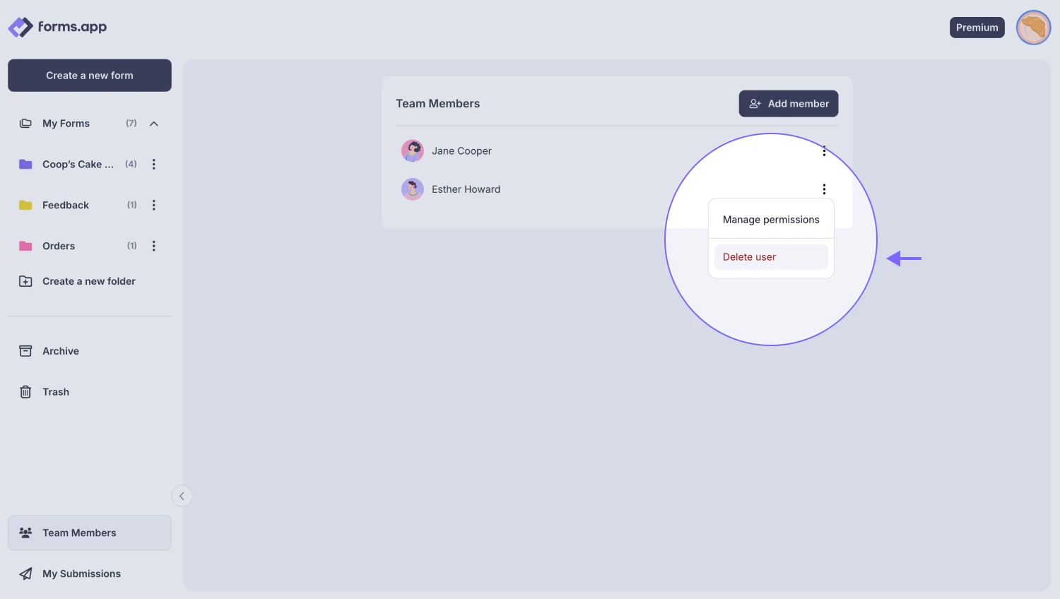 An image showing how you can delete team members by pressing the “Delete user” button from the “Team Members” panel