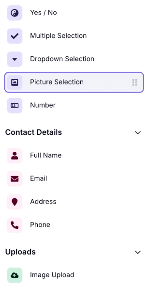 An image showing where the “Picture Selection” field is located in the field menu from within the “Build” section