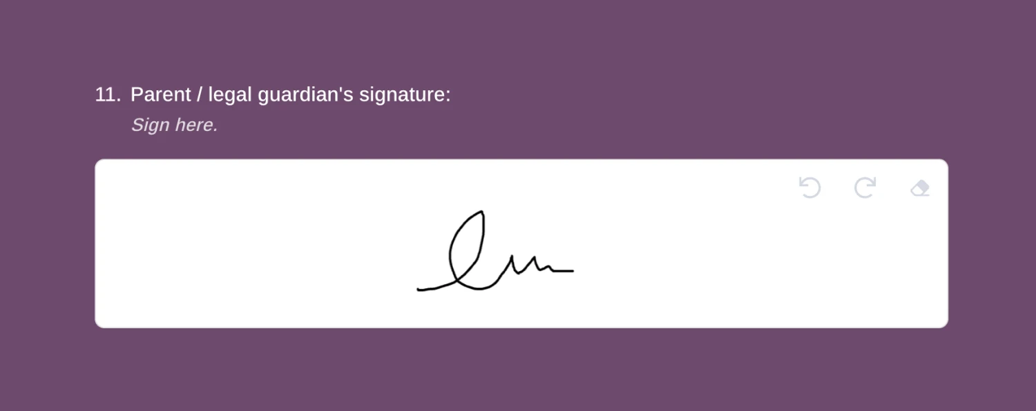 An image showing a filled-out “Signature” field example