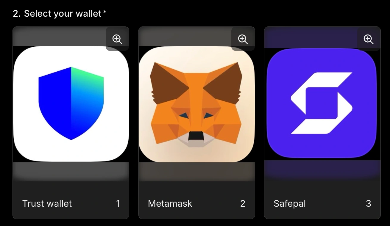 A wallet selection screen shows Trust Wallet, MetaMask and SafePal logos.