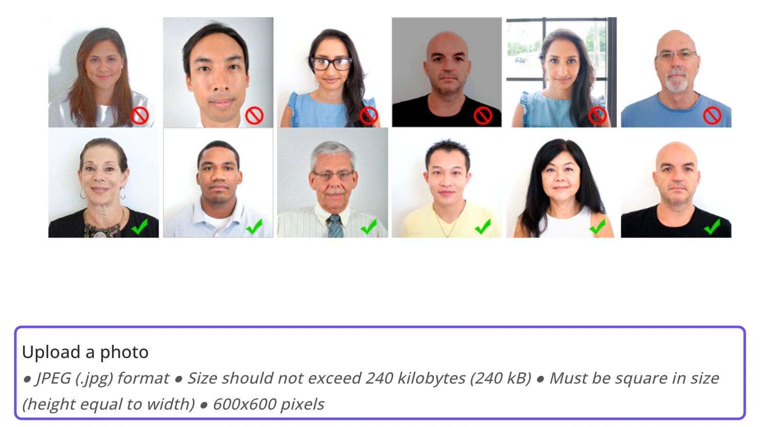 Later in the application, the respondent is asked to upload a portrait photo with specified dimensions and file size. The upload instruction is highlighted.