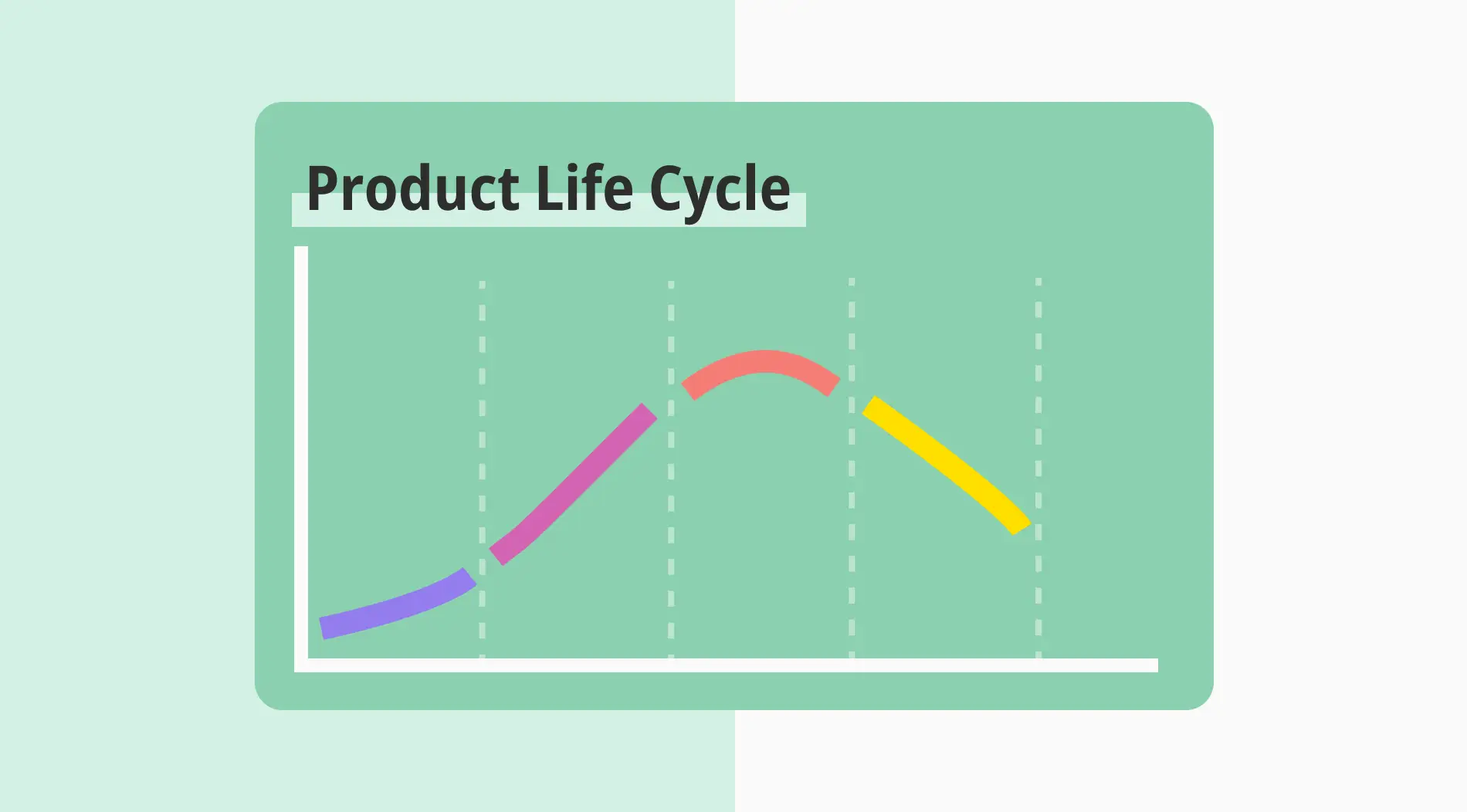 Your comprehensive guide to the product life cycle